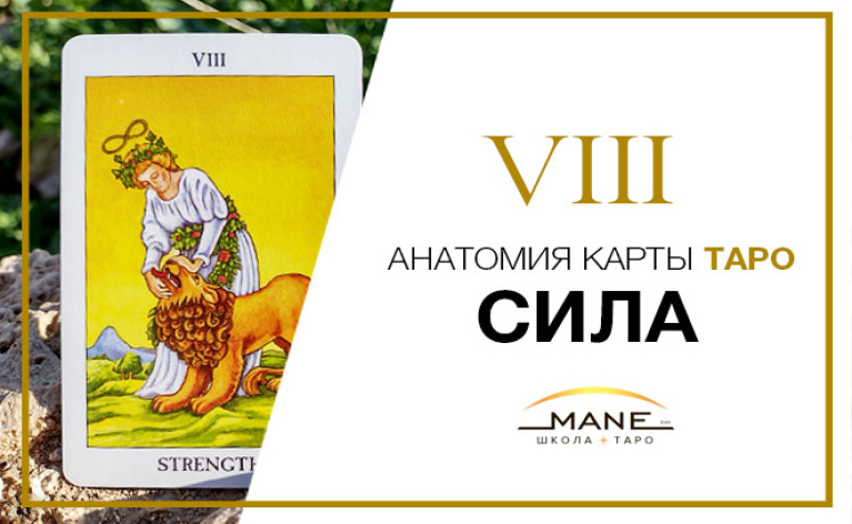 Значение карты таро Сила